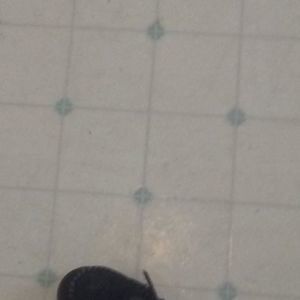 Meet your Posher, Jack